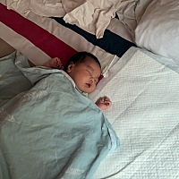 巴金的大胖小子