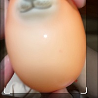 三宝前天6个月去体检，身高65厘米体重14.5斤。没网络没打预防针，今天去打的。