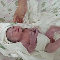 6月13日下午两点半，生了皮夹克，儿女双全了，当爸妈不容易啊