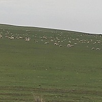 一场说走就走的旅行