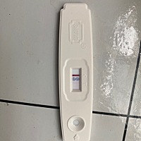 这是怀上了吗？