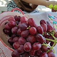 又酸又甜，根本停不下来