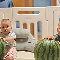 西瓜兄弟真的可爱呀！