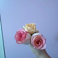 离婚多好，自由自在的