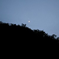 男朋友嫌弃自己会怎么表现