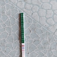 这是怀了吗