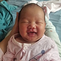 #报喜帖#