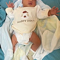 十四天的宝宝八斤多你们的宝宝有多大了