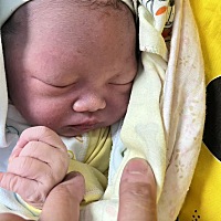 生了生了，11-8下午成功顺产7斤重男宝一枚，无痛 侧切
