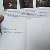 这是什么情况呀