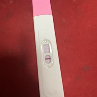 这是怀了吗 在线求问