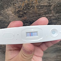 和男朋友的那个，没有做措施，月经推迟30天了，但是测了好几回都是一条杠是什么问题？