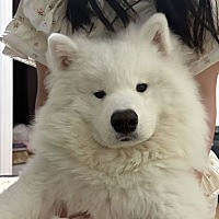 一个月来两次月经 上次来10天都不到 怎么搞呀？