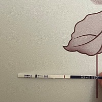 我的月經晚了1天。這個Hcg測試是相反的嗎？
