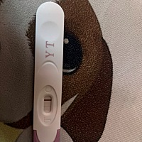 这是有还是没有喔