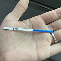阳性，这是有了吗？有点不太确定。
