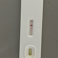 ￼姐妹们这是有啊还是没有呀