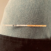 例假推迟一天排卵试纸接近阳早孕试纸还是阴性