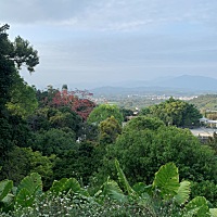 来了，有没有大来带我一起玩啊
