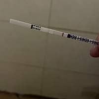 这是怀了还是没有 没有吧…