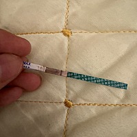 末次3.9，这是不是没有怀孕，是太早了测不出来吗？