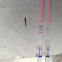 哎，什么时候才能怀孕！