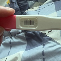 这个怀了还是没怀