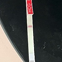 备孕多久能测出来 上个月22号生理期，今天12号，测还是一条杠￼，是没希望了吗，家人们，你们一个月会不...