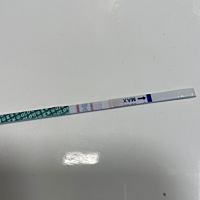 这是有了嘛