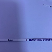 这个能看出来怀孕了吗