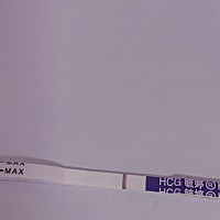 这是怀了吗？