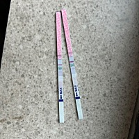 这是怀孕了吗