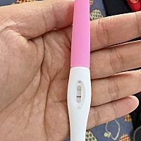 这是有还是没有