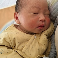 38W＋5发动，见红无破水，规律阵痛约3小时，产程1.5小时，约3.5㎏男宝。