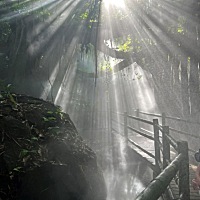 光来的时候 是救赎吗