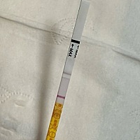 这种是不是怀孕了？ 第2个特别的浅