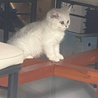 很烦躁，一月两次。一次来半个月。玛德，这个姨妈太贱了