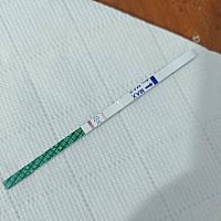 这是今晚测的排卵试纸，各位帮我看看像这样，今晚可以同房没？