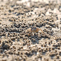 各位姐妹，请问同房时出血鲜红色的，没有任何疼痛感，，可距离月经还有15天才来呀，你们知道怎么回事？...