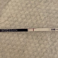 这是有还是没有啊？