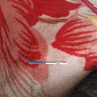 阳性早早孕试纸