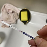 这个是有了吧，现在有了能生出马宝宝吗？