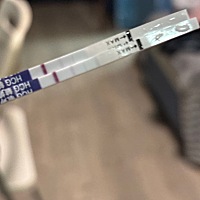我这是怀了还是没有怀孕？公公婆婆一直在催结婚才半年，我好焦虑。