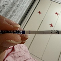 排卵期第十一天测的 这是有还是没有