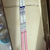 求助求助。