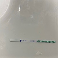 这是有还是没有