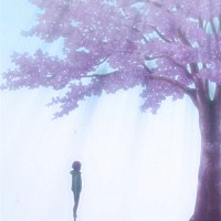 敏敏