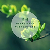 影子