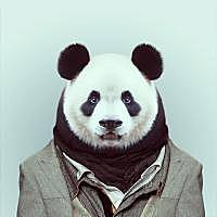 李宏入