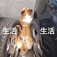 Mr.wu